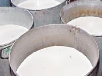 সয়াবিন তেল ও পাউডারে তৈরি নকল দুধ!